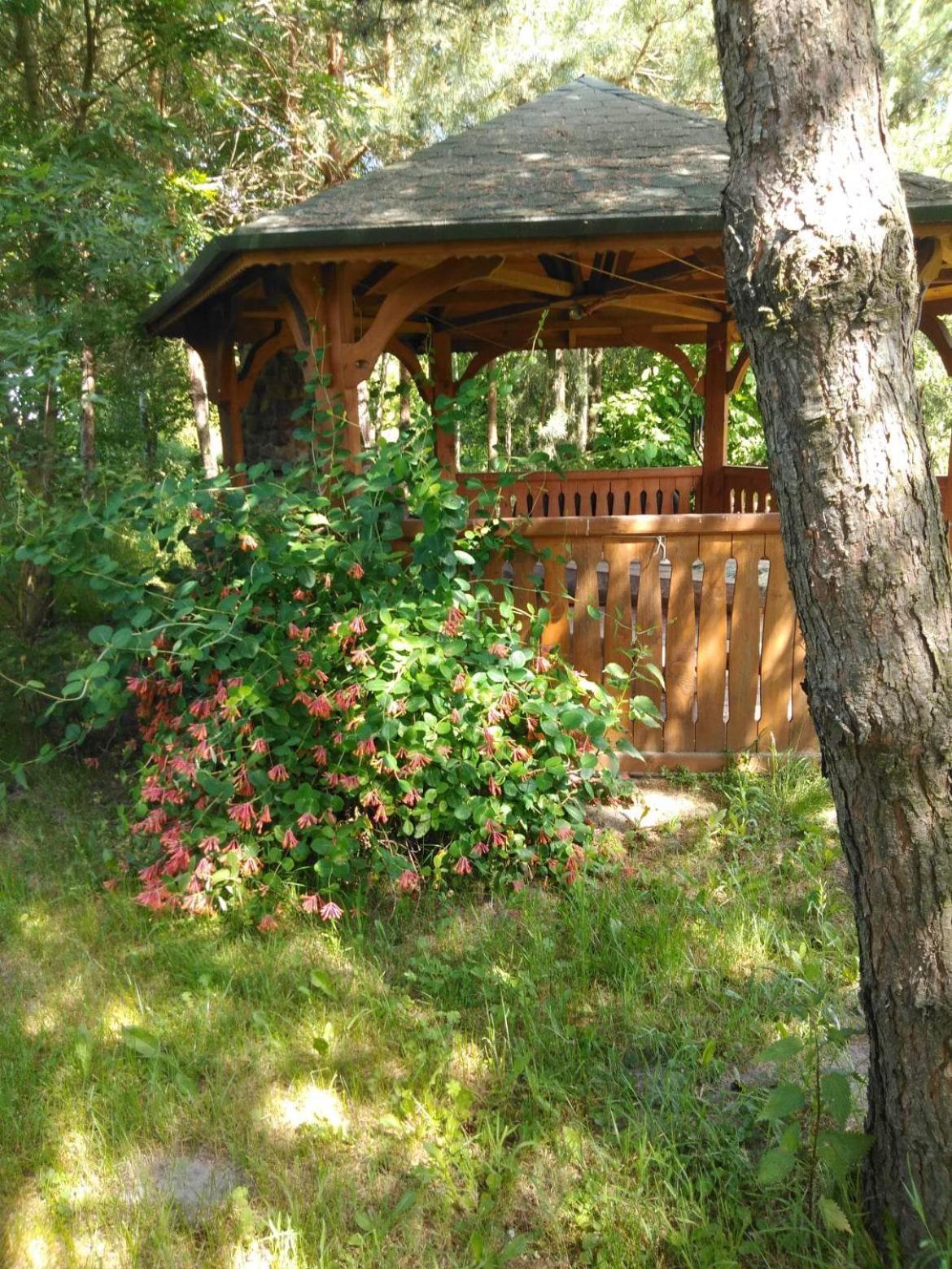 Noclegi Przy Kominku Miedzyles  Room photo